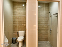 toilet and shower